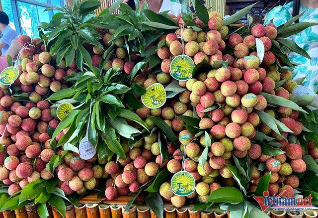 Chùm ảnh xe chở vải thiều ngập tràn mùa vụ tháng 7 - Hình 12 Chum anh xe cho vai thieu ngap tran mua vu thang 7-Hinh-12