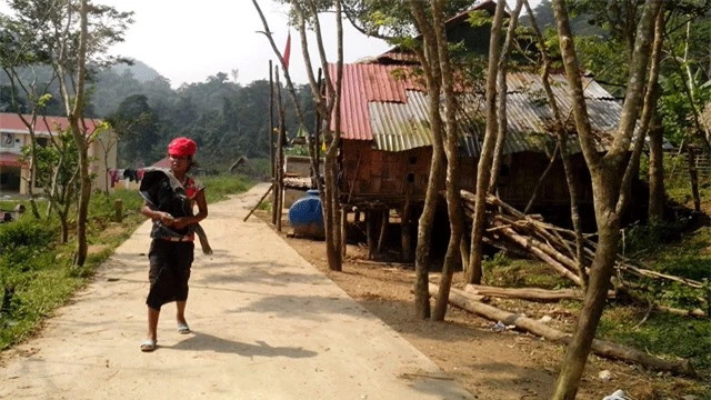 Ngôi làng ở VN trồng loại gỗ đắt nhất thế giới, trị giá hơn trăm tỷ - Hình 2 Ngoi lang o VN trong loai go dat nhat the gioi, tri gia hon tram ty-Hinh-2