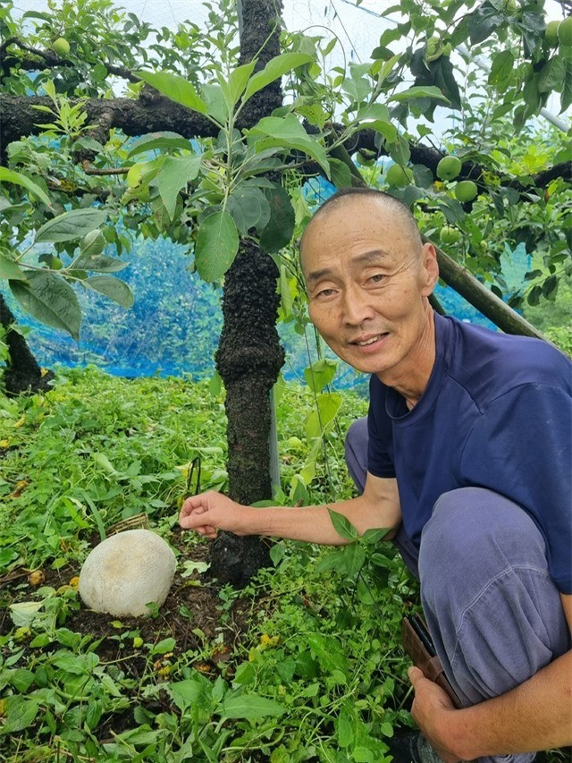 Lão nông phát hiện vật thể giống tảng đá, giá gần 1 tỷ đồng/kg - Hình 2 Lao nong phat hien vat the giong tang da, gia gan 1 ty dong/kg-Hinh-2