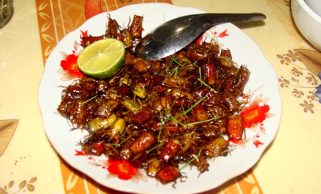 Món ăn độc lạ ở Yên Bái: Nghe tên hơi hoảng, ăn rất ngon - Hình 6 Mon an doc la o Yen Bai: Nghe ten hoi hoang, an rat ngon-Hinh-6