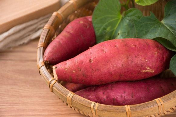 Điều cấm kỵ khi ăn khoai lang Dieu cam ky khi an khoai lang