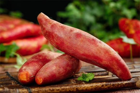 Điều cấm kỵ khi ăn khoai lang - Hình 7 Dieu cam ky khi an khoai lang-Hinh-7