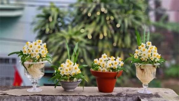 Mang 8 loại hoa này về, năm mới 2024 thịnh vượng, bình an - Hình 8 Mang 8 loai hoa nay ve, nam moi 2024 thinh vuong, binh an-Hinh-8