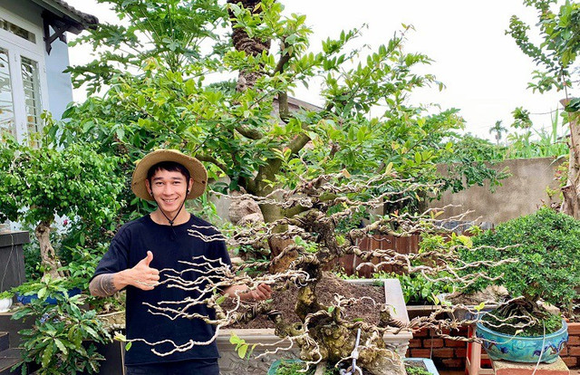 Khởi nghiệp từ cây bonsai cổ thụ, 9x Đắk Lắk doanh thu hàng tỷ/năm Khoi nghiep tu cay bonsai co thu, 9x Dak Lak doanh thu hang ty/nam