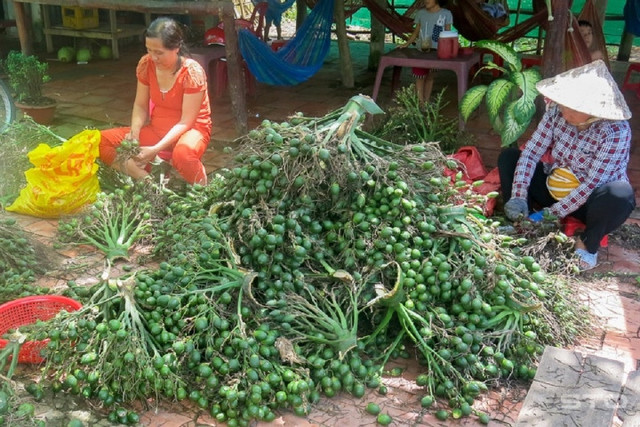 Bưởi Diễn xuất đi Anh, nông sản Việt "ùn ùn" sang Trung Quốc - Hình 2 Buoi Dien xuat di Anh, nong san Viet