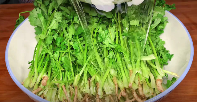 Loại rau “nhỏ mà có võ”, kháng sinh tự nhiên, giúp giải độc - Hình 11 Loai rau “nho ma co vo”, khang sinh tu nhien, giup giai doc-Hinh-11