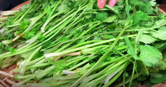 Loại rau “nhỏ mà có võ”, kháng sinh tự nhiên, giúp giải độc - Hình 12 Loai rau “nho ma co vo”, khang sinh tu nhien, giup giai doc-Hinh-12