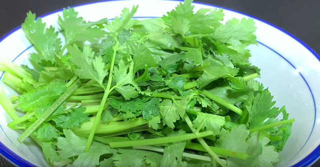 Loại rau “nhỏ mà có võ”, kháng sinh tự nhiên, giúp giải độc - Hình 4 Loai rau “nho ma co vo”, khang sinh tu nhien, giup giai doc-Hinh-4
