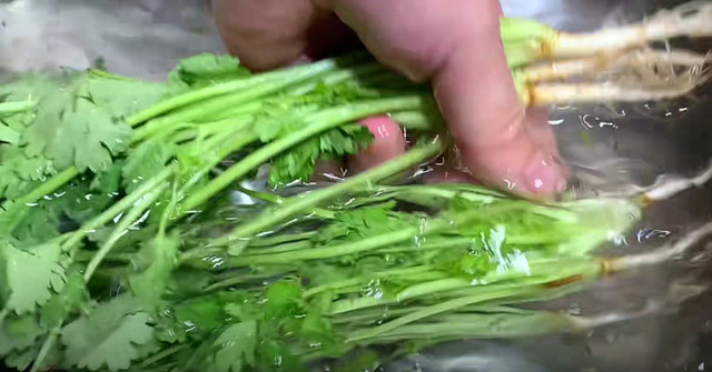 Loại rau “nhỏ mà có võ”, kháng sinh tự nhiên, giúp giải độc - Hình 3 Loai rau “nho ma co vo”, khang sinh tu nhien, giup giai doc-Hinh-3