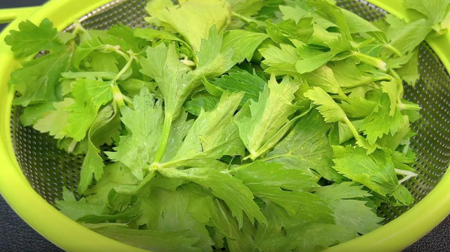 Loại rau có canxi gấp 6 lần trứng, ăn vào tràn đầy năng lượng - Hình 3 Loai rau co canxi gap 6 lan trung, an vao tran day nang luong-Hinh-3