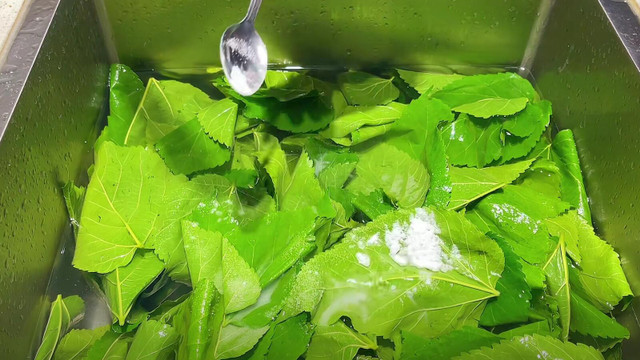 Loại rau được ví như báu vật, giúp giải nhiệt, chống viêm - Hình 16 Loai rau duoc vi nhu bau vat, giup giai nhiet, chong viem-Hinh-16