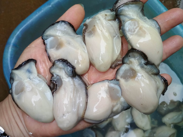 Ăn 10kg thịt bò không bằng 1kg loại thịt này, bổ thận thượng hạng - Hình 2 An 10kg thit bo khong bang 1kg loai thit nay, bo than thuong hang-Hinh-2