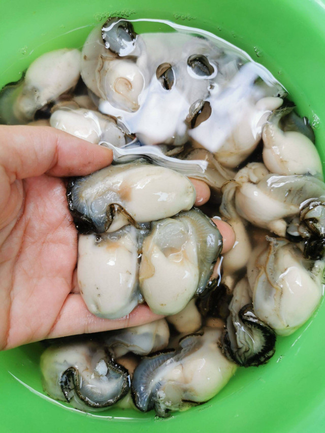 Ăn 10kg thịt bò không bằng 1kg loại thịt này, bổ thận thượng hạng - Hình 3 An 10kg thit bo khong bang 1kg loai thit nay, bo than thuong hang-Hinh-3