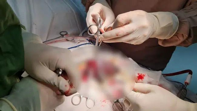 Thực phẩm tự nhiên tăng kích cỡ "cậu nhỏ", bác sĩ đảm bảo an toàn - Hình 2 Thuc pham tu nhien tang kich co