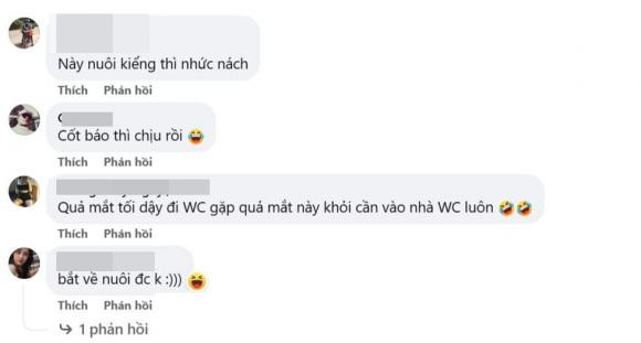 Phát hiện loài mèo mới có hoa văn cực lạ, nhìn là mê - Hình 7 Phat hien loai meo moi co hoa van cuc la, nhin la me-Hinh-7