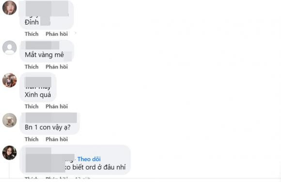Phát hiện loài mèo mới có hoa văn cực lạ, nhìn là mê - Hình 8 Phat hien loai meo moi co hoa van cuc la, nhin la me-Hinh-8