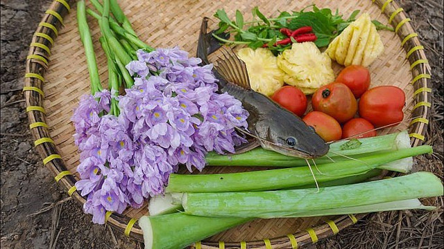 Lạ lùng rau dại mọc đầy ao, bên Nhật coi là siêu thực phẩm - Hình 3 La lung rau dai moc day ao, ben Nhat coi la sieu thuc pham-Hinh-3