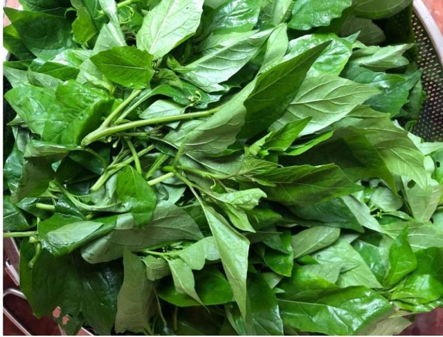 Loại rau dại xưa chả ai thèm, nay thành đặc sản, giúp giải độc - Hình 2 Loai rau dai xua cha ai them, nay thanh dac san, giup giai doc-Hinh-2