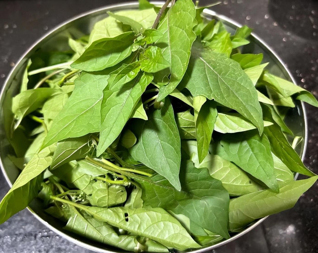 Loại rau dại xưa chả ai thèm, nay thành đặc sản, giúp giải độc - Hình 10 Loai rau dai xua cha ai them, nay thanh dac san, giup giai doc-Hinh-10
