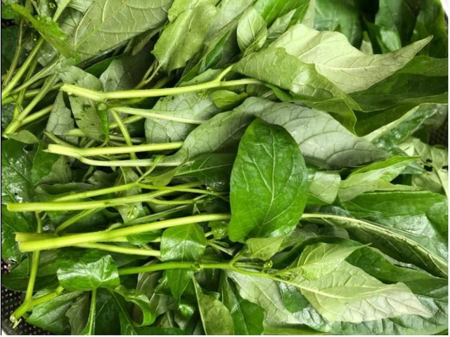 Loại rau dại xưa chả ai thèm, nay thành đặc sản, giúp giải độc - Hình 4 Loai rau dai xua cha ai them, nay thanh dac san, giup giai doc-Hinh-4