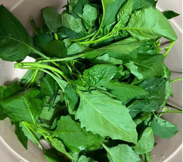 Loại rau dại xưa chả ai thèm, nay thành đặc sản, giúp giải độc - Hình 11 Loai rau dai xua cha ai them, nay thanh dac san, giup giai doc-Hinh-11