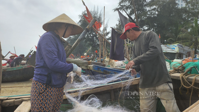 Loài cá khoai ngon ở Thanh Hóa, giá bán gần 500.000 đồng/kg - Hình 5 Loai ca khoai ngon o Thanh Hoa, gia ban gan 500.000 dong/kg-Hinh-5
