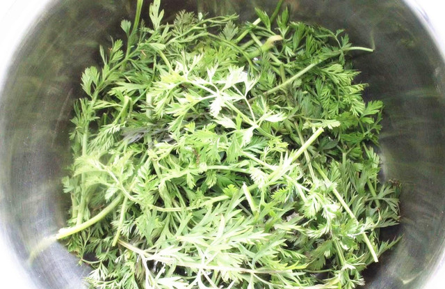 Loại rau có lượng canxi cao gấp 3 lần sữa, gấp 7 lần trứng - Hình 4 Loai rau co luong canxi cao gap 3 lan sua, gap 7 lan trung-Hinh-4
