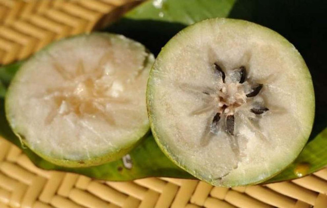 8 đặc sản Tiền Giang ngon khó cưỡng hút du khách - Hình 8 8 dac san Tien Giang ngon kho cuong hut du khach-Hinh-8