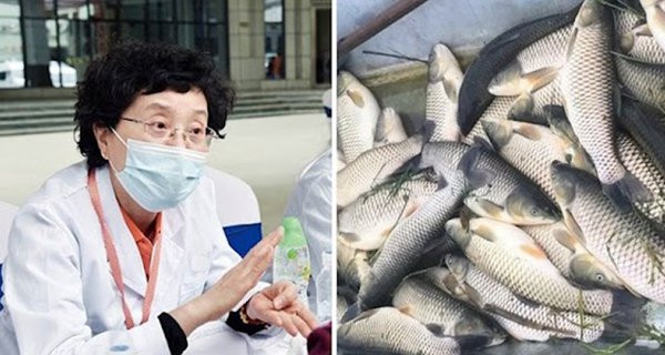 Ăn cá tốt hơn thịt nhưng có 8 loại cá trong danh sách đen An ca tot hon thit nhung co 8 loai ca trong danh sach den
