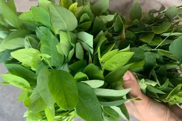 Loại rau rẻ bèo nhưng lượng vitamin C cao hơn cam, chanh Loai rau re beo nhung luong vitamin C cao hon cam, chanh
