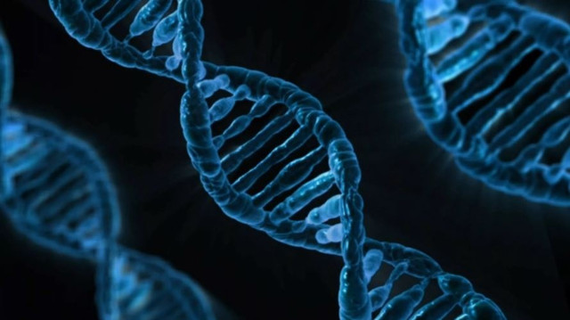 Phát hiện mới về DNA của con người Phat hien moi ve DNA cua con nguoi