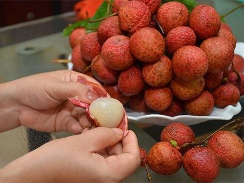 Mùa vải thiều đã đến, 5 cấm kị khi ăn vải và cách xử lý khi 'say' vải Mua vai thieu da den, 5 cam ki khi an vai va cach xu ly khi 'say' vai