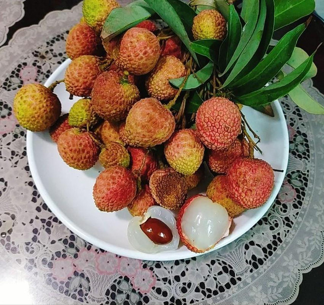 Mùa vải thiều đã đến, 5 cấm kị khi ăn vải và cách xử lý khi 'say' vải - Hình 4 Mua vai thieu da den, 5 cam ki khi an vai va cach xu ly khi 'say' vai-Hinh-4