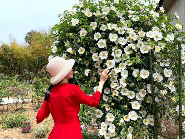 Cô gái Bến Tre được bố mẹ chồng tặng 1.400m2 đất - Hình 4 Co gai Ben Tre duoc bo me chong tang 1.400m2 dat-Hinh-4