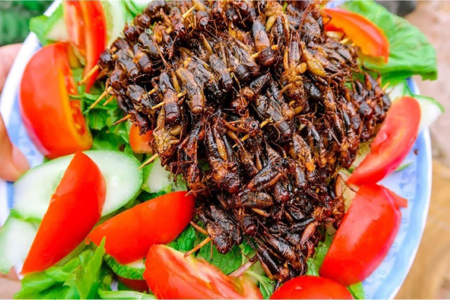 Top món ăn đặc sản ở Kon Tum, hương vị lạ miệng - Hình 10 Top mon an dac san o Kon Tum, huong vi la mieng-Hinh-10