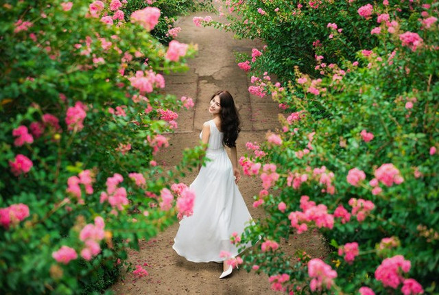 Ngắm bộ ảnh thiếu nữ bên hoa tường vi đầy sức sống - Hình 12 Ngam bo anh thieu nu ben hoa tuong vi day suc song-Hinh-12