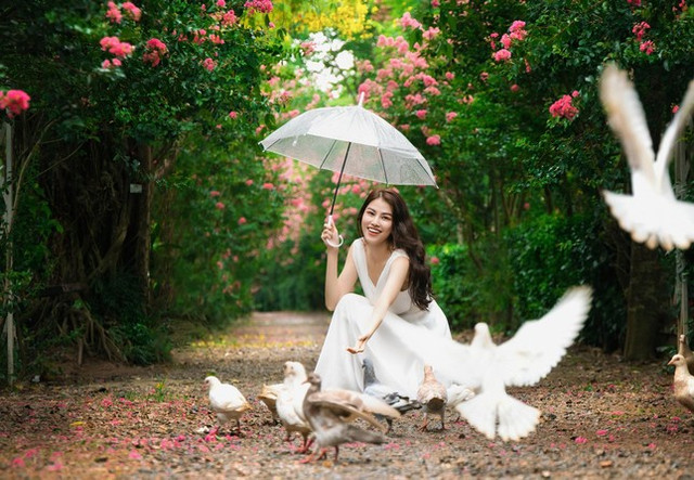 Ngắm bộ ảnh thiếu nữ bên hoa tường vi đầy sức sống - Hình 5 Ngam bo anh thieu nu ben hoa tuong vi day suc song-Hinh-5