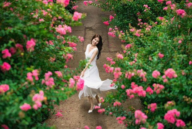 Ngắm bộ ảnh thiếu nữ bên hoa tường vi đầy sức sống - Hình 2 Ngam bo anh thieu nu ben hoa tuong vi day suc song-Hinh-2