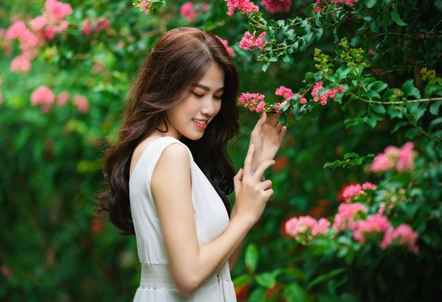 Ngắm bộ ảnh thiếu nữ bên hoa tường vi đầy sức sống - Hình 3 Ngam bo anh thieu nu ben hoa tuong vi day suc song-Hinh-3