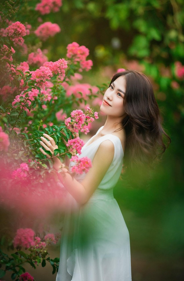 Ngắm bộ ảnh thiếu nữ bên hoa tường vi đầy sức sống - Hình 10 Ngam bo anh thieu nu ben hoa tuong vi day suc song-Hinh-10