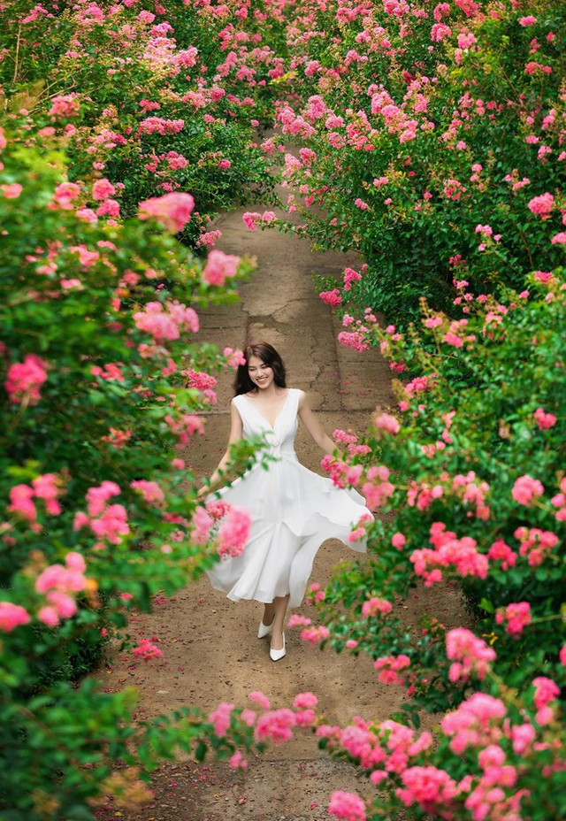 Ngắm bộ ảnh thiếu nữ bên hoa tường vi đầy sức sống - Hình 4 Ngam bo anh thieu nu ben hoa tuong vi day suc song-Hinh-4