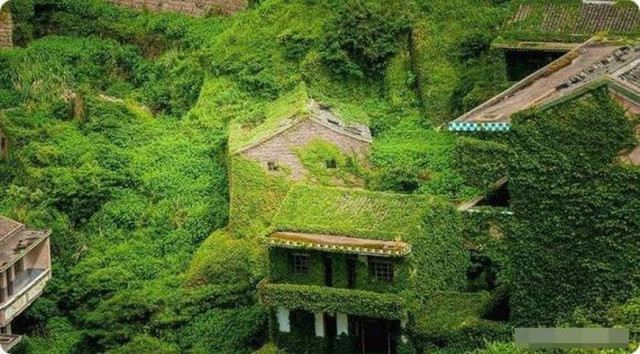 Tết đến những nơi phong thủy xấu này ảnh hưởng tài vận cả năm Tet den nhung noi phong thuy xau nay anh huong tai van ca nam
