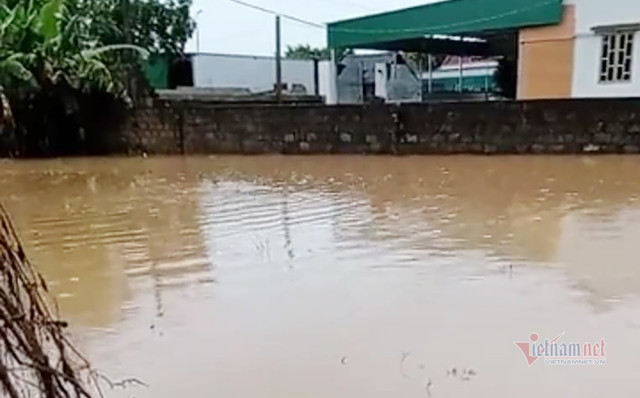 Mưa lớn, hồ đập ở Nghệ An xả lũ khiến hàng trăm nhà dân bị ngập - Hình 7 Mua lon, ho dap o Nghe An xa lu khien hang tram nha dan bi ngap-Hinh-7