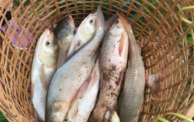 Trước khi chết, Lưu Bá Ôn muốn nhắn nhủ Chu Nguyên Chương điều gì? - Hình 5 Truoc khi chet, Luu Ba On muon nhan nhu Chu Nguyen Chuong dieu gi?-Hinh-5