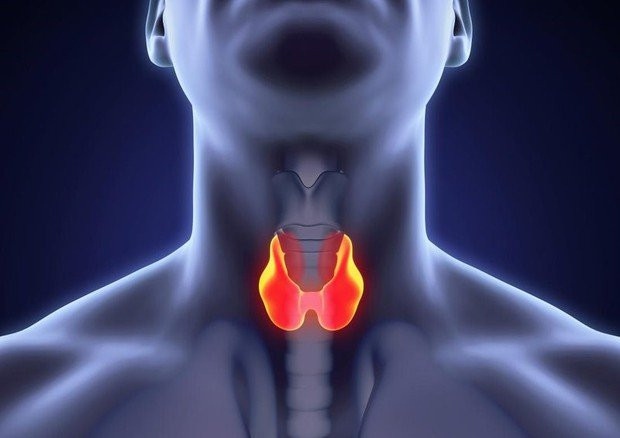Với 1 cốc nước, chuyên gia chỉ bạn cách phát hiện bệnh tuyến giáp Voi 1 coc nuoc, chuyen gia chi ban cach phat hien benh tuyen giap