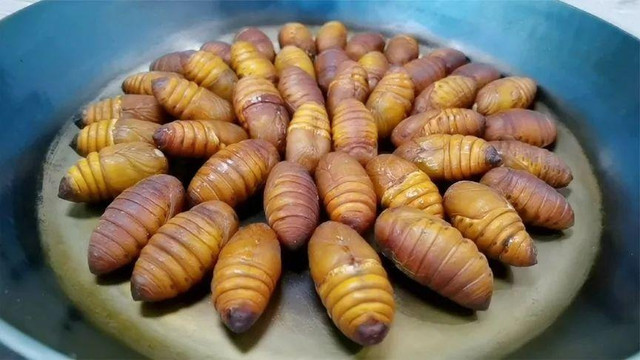 Loại thịt có protein gấp 10 lần trứng, nhiều người sợ hãi Loai thit co protein gap 10 lan trung, nhieu nguoi so hai