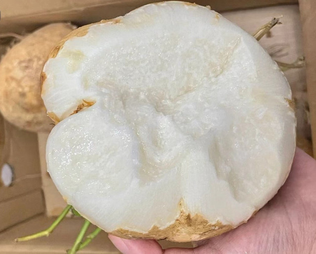Củ đậu bổ phổi, mang nấu canh hay xào cực ngon - Hình 5 Cu dau bo phoi, mang nau canh hay xao cuc ngon-Hinh-5