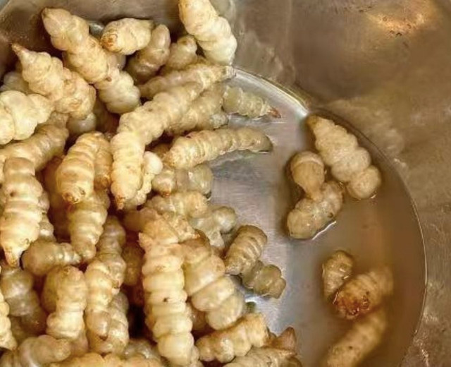 Loại rau dại hình dạng giống con sâu, được ví như nhân sâm - Hình 14 Loai rau dai hinh dang giong con sau, duoc vi nhu nhan sam-Hinh-14