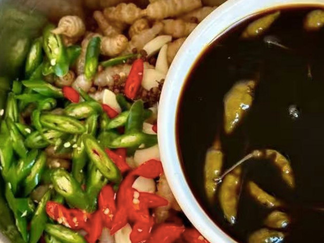 Loại rau dại hình dạng giống con sâu, được ví như nhân sâm - Hình 17 Loai rau dai hinh dang giong con sau, duoc vi nhu nhan sam-Hinh-17