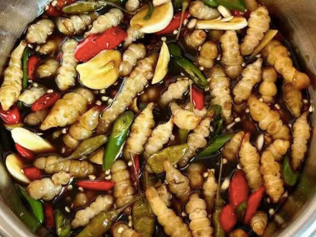 Loại rau dại hình dạng giống con sâu, được ví như nhân sâm - Hình 18 Loai rau dai hinh dang giong con sau, duoc vi nhu nhan sam-Hinh-18